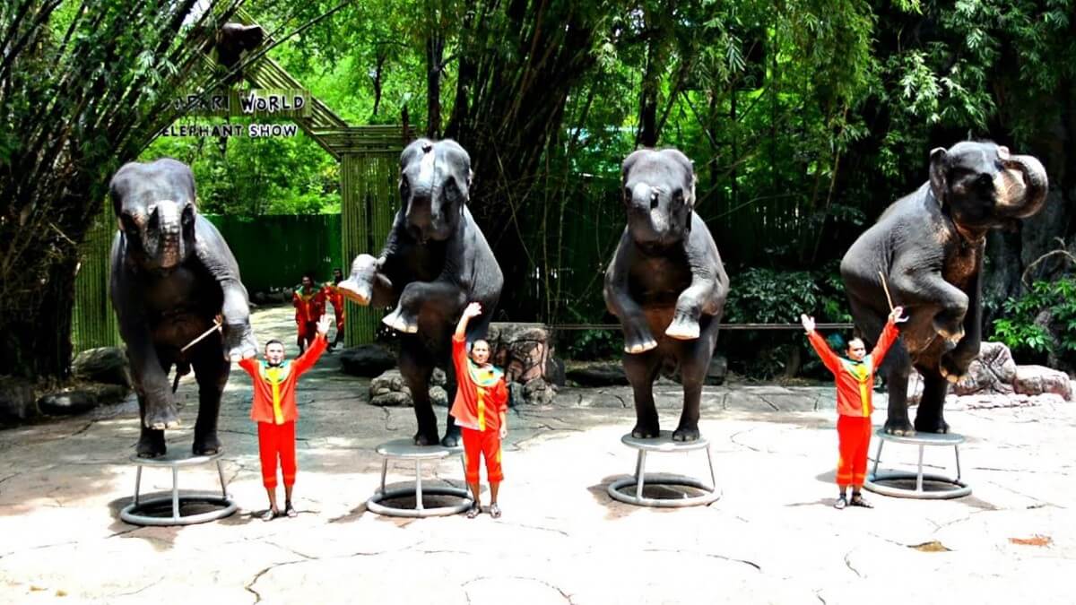 Safari-World-Bangkok-elephant-show 